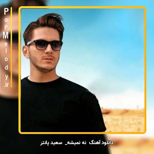 دانلود آهنگ سعید پانتر نه نمیشه